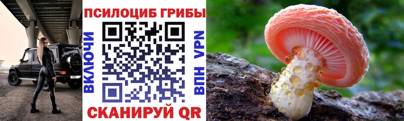 Галлюциногенные грибы мухоморы  Покров 